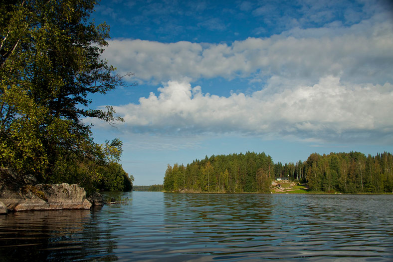 Puula