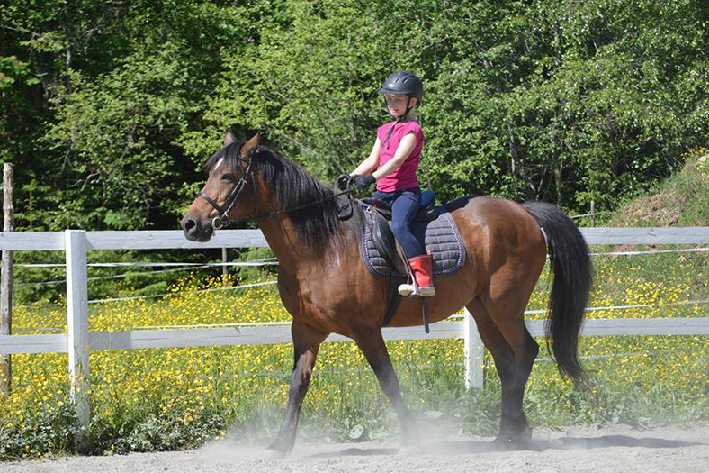 horse riding place in finland