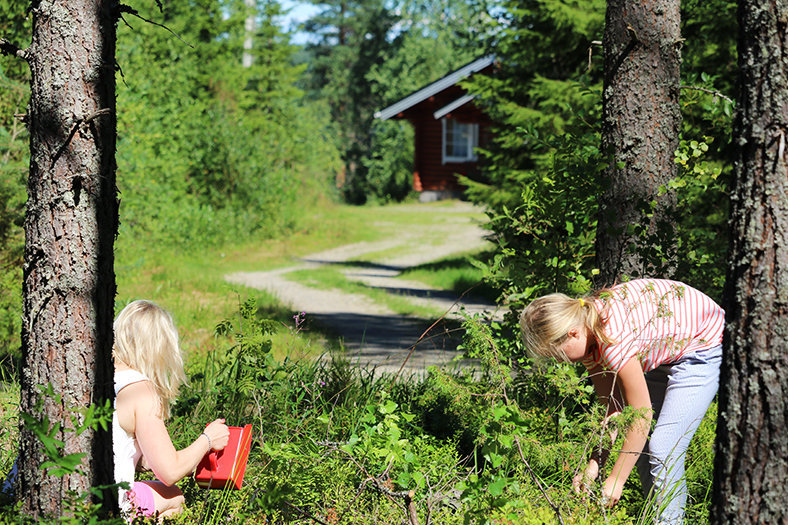things to do in finland